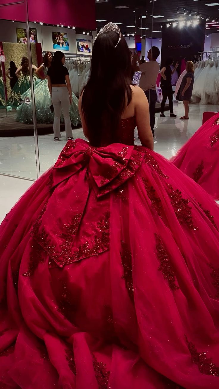 Princess Quinceanera Dresses with Big Bow Sweet 15 16 Ball Gown fg5249