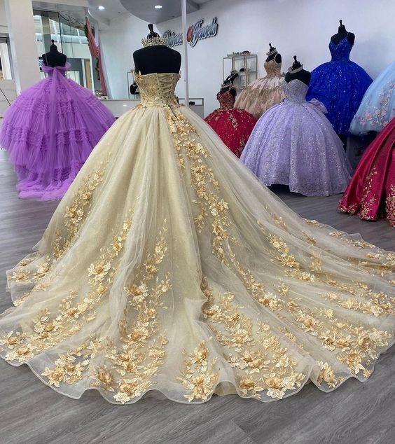 Quinceanera Dress Prom Ball Gowns Applique Corset Back Prom Sweet 16 Dress fg4078