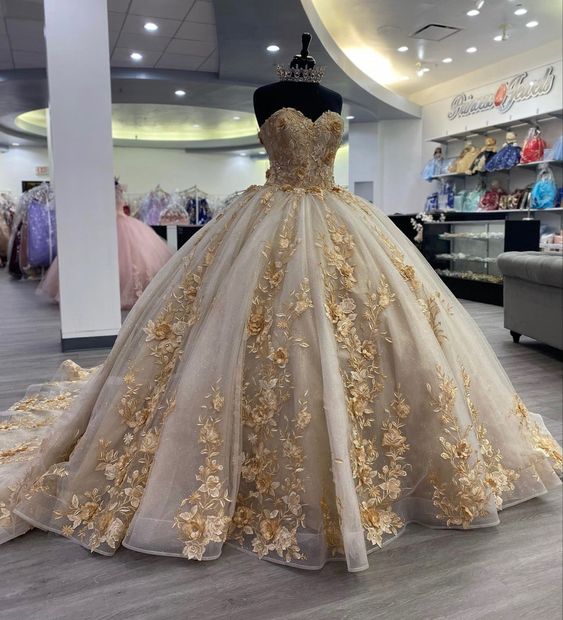 Quinceanera Dress Prom Ball Gowns Applique Corset Back Prom Sweet 16 Dress fg4078