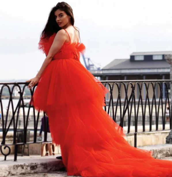 Prom Dress, Tulle Dresses, Formal Prom Dress fg532