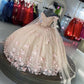 pink Sweetheart Quinceanera Dresses Ball Gown 3D Flowers Formal Prom Graduation Gowns Princess Sweet 15 16 Dress        fg5587