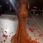 Gorgeous Orange Beaded Applique Mermaid Evening Dress Long Prom Dress        fg6981