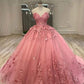 Quinceanera Dresses With Applique Girls Sweet 15 Birthday Party Ball Gown Dress     fg4450