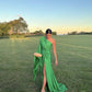 A Line Fashion Green Long Prom Dress,   Formal Evening Gown      fg3895